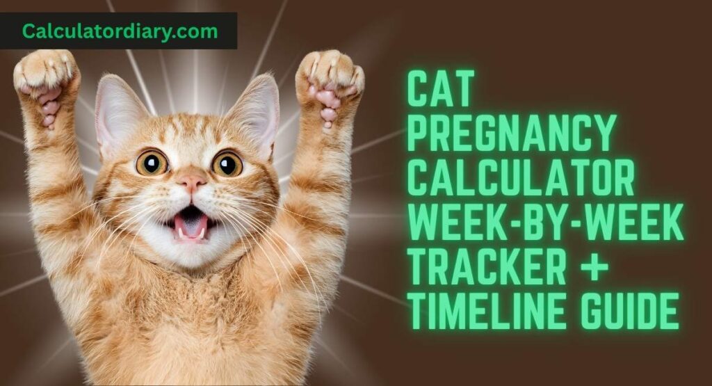 Cat Pregnancy Calculator