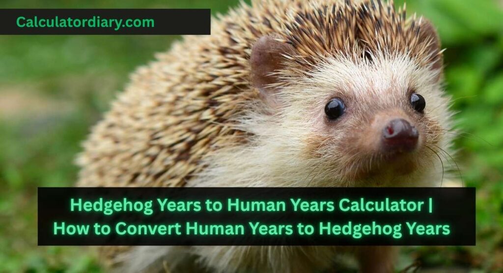 Hedgehog Years to Human Years Calculator